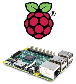 Raspberry Pi Logo